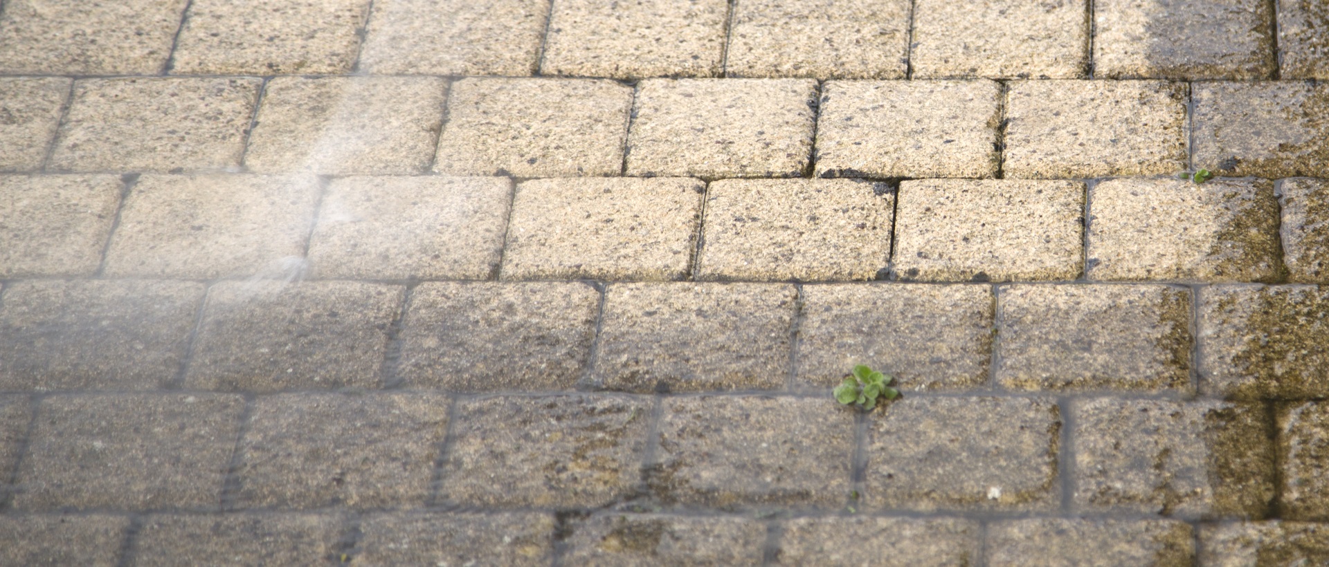 flagging and patios KT21