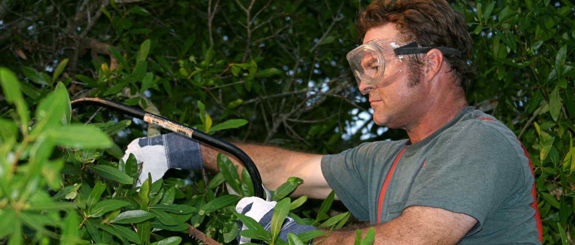 garden clearance KT21